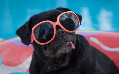 How do I know if my current pool service provider is charging me fairly?