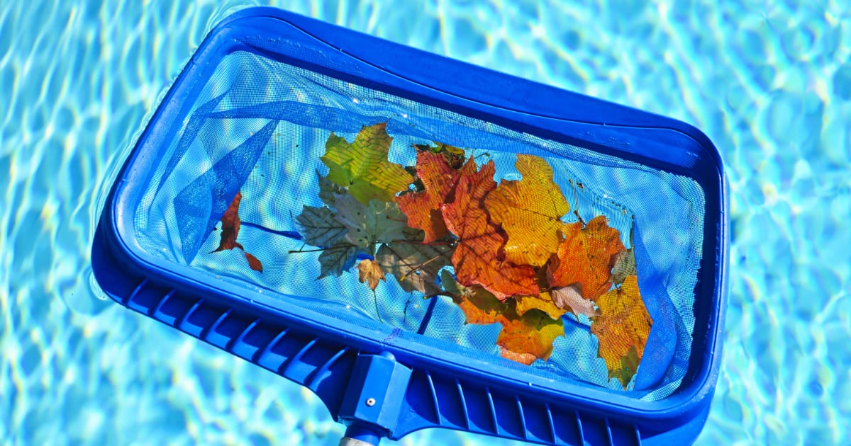 Pool net Long handled pool net for skimming leaves.